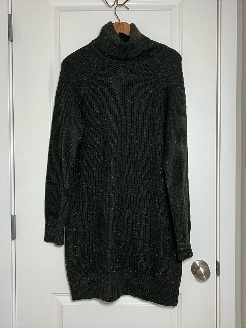 Prana Turtlneck Sweater Dress Green and Colorful Speckles (blue, orange, cream)